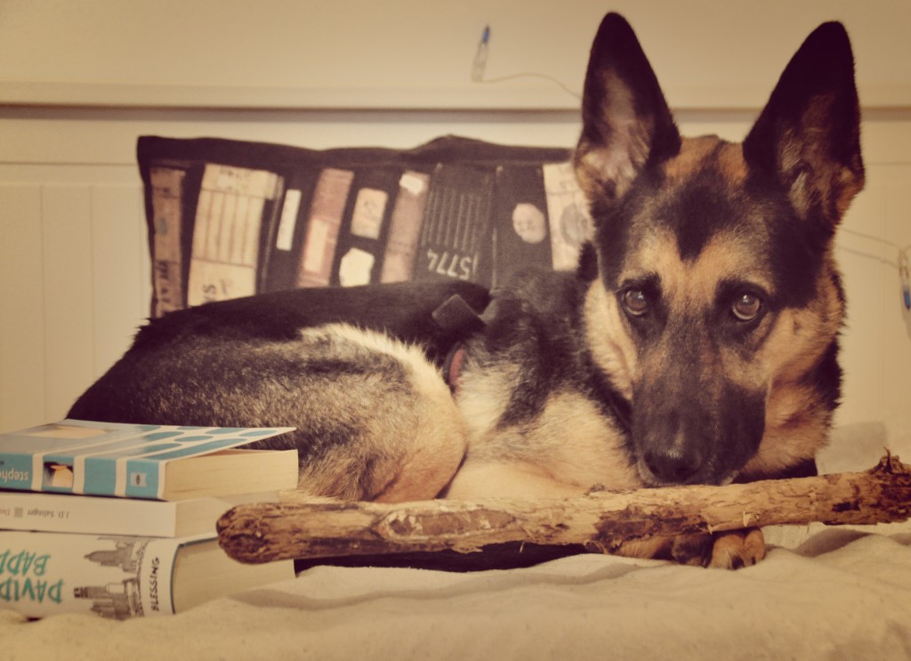 j.d. salinger Archives Buzzaldrins Bücher